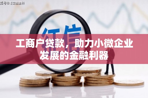 蔡甸工商户贷款，助力小微企业发展的金融利器