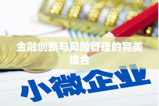 蔡甸金融创新与风险管理的完美结合
