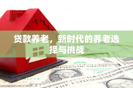 蔡甸贷款养老，新时代的养老选择与挑战