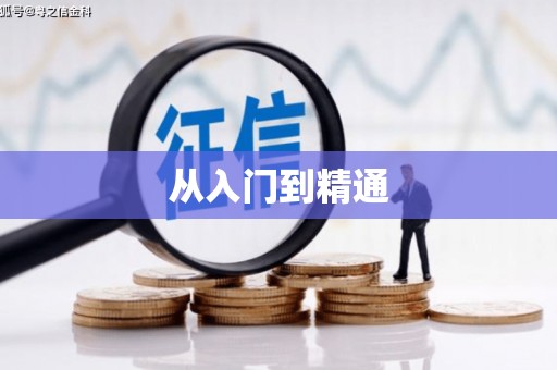 蔡甸从入门到精通