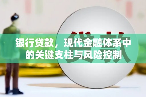 蔡甸银行贷款，现代金融体系中的关键支柱与风险控制