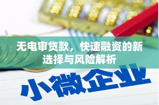 蔡甸无电审贷款，快速融资的新选择与风险解析