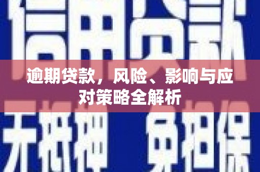 蔡甸逾期贷款，风险、影响与应对策略全解析