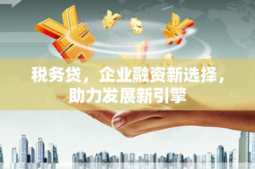 蔡甸税务贷，企业融资新选择，助力发展新引擎