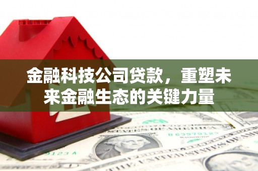 蔡甸金融科技公司贷款，重塑未来金融生态的关键力量