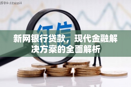 蔡甸新网银行贷款，现代金融解决方案的全面解析