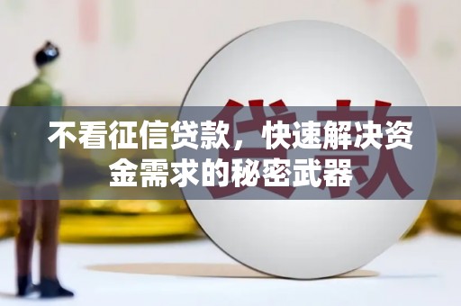 蔡甸不看征信贷款，快速解决资金需求的秘密武器