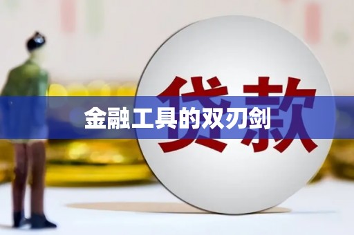 蔡甸金融工具的双刃剑