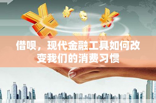 蔡甸借呗，现代金融工具如何改变我们的消费习惯