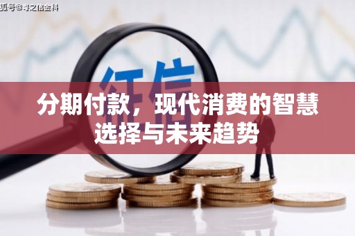 蔡甸分期付款，现代消费的智慧选择与未来趋势