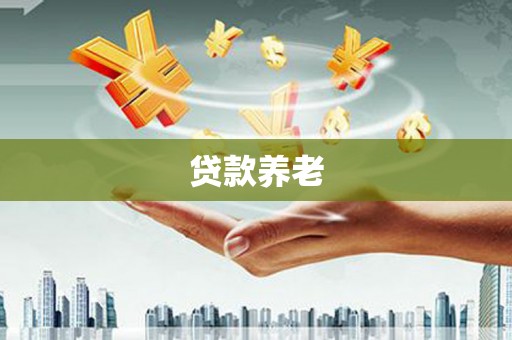 蔡甸贷款养老