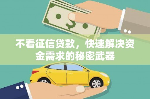 蔡甸不看征信贷款，快速解决资金需求的秘密武器