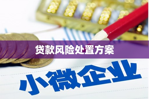 蔡甸贷款风险处置方案