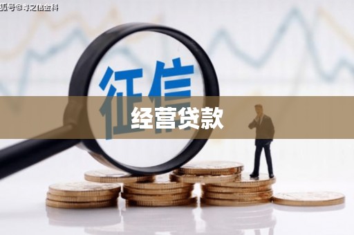 蔡甸经营贷款