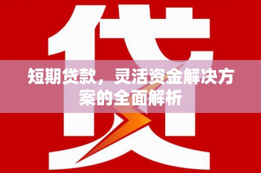 蔡甸短期贷款，灵活资金解决方案的全面解析