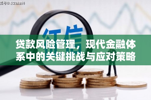 蔡甸贷款风险管理，现代金融体系中的关键挑战与应对策略