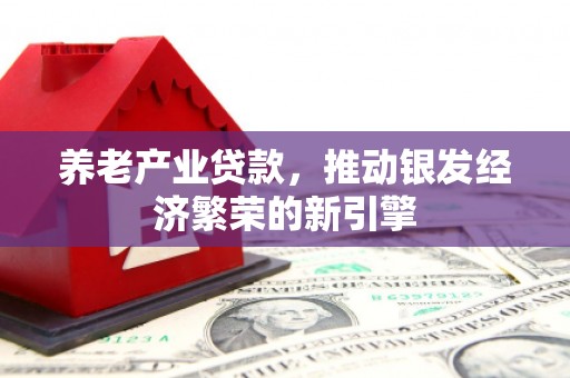 蔡甸养老产业贷款，推动银发经济繁荣的新引擎