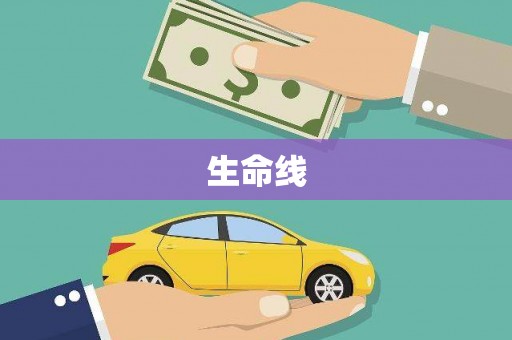 蔡甸生命线