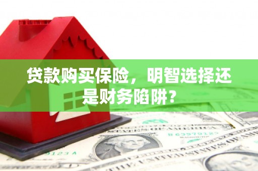 蔡甸贷款购买保险，明智选择还是财务陷阱？
