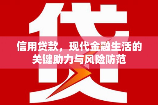 蔡甸信用贷款，现代金融生活的关键助力与风险防范