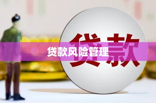 蔡甸贷款风险管理