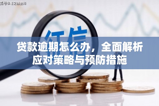蔡甸贷款逾期怎么办，全面解析应对策略与预防措施