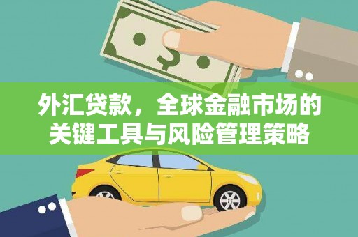 蔡甸外汇贷款，全球金融市场的关键工具与风险管理策略