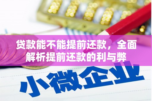 蔡甸贷款能不能提前还款，全面解析提前还款的利与弊