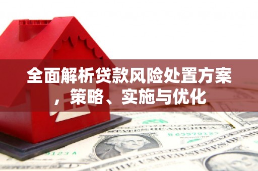 蔡甸全面解析贷款风险处置方案，策略、实施与优化