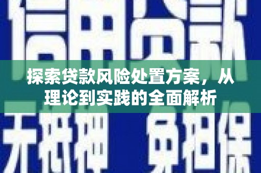 蔡甸探索贷款风险处置方案，从理论到实践的全面解析