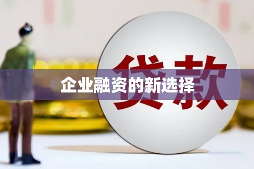 蔡甸企业融资的新选择