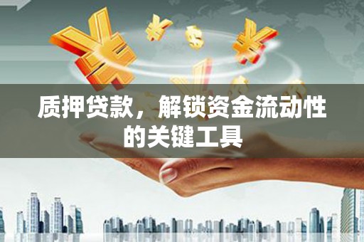 蔡甸质押贷款，解锁资金流动性的关键工具