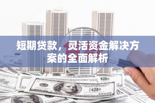 蔡甸短期贷款，灵活资金解决方案的全面解析