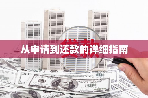 蔡甸从申请到还款的详细指南