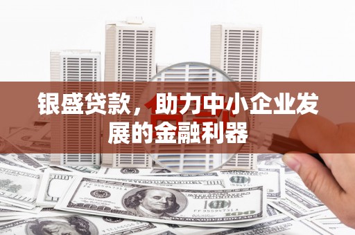 蔡甸银盛贷款，助力中小企业发展的金融利器