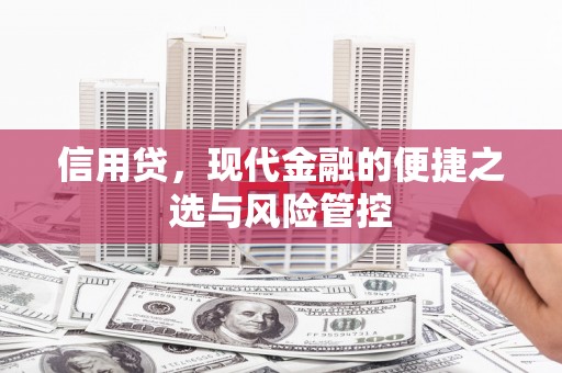 蔡甸信用贷，现代金融的便捷之选与风险管控