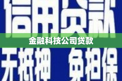 蔡甸金融科技公司贷款