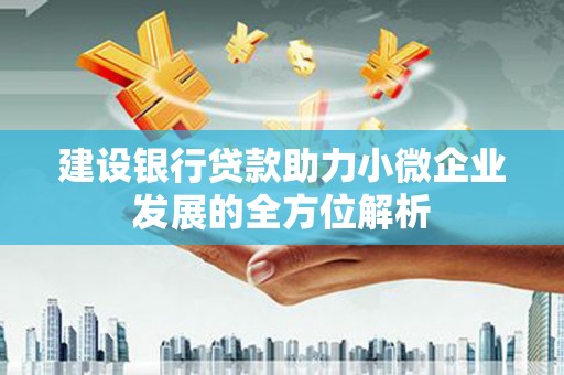 蔡甸建设银行贷款助力小微企业发展的全方位解析