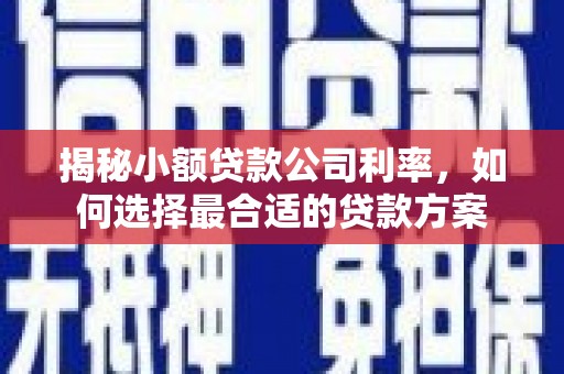 蔡甸揭秘小额贷款公司利率，如何选择最合适的贷款方案