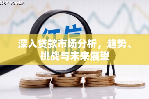 蔡甸深入贷款市场分析，趋势、挑战与未来展望