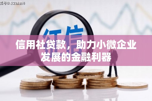 蔡甸信用社贷款，助力小微企业发展的金融利器