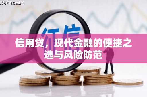蔡甸信用贷，现代金融的便捷之选与风险防范
