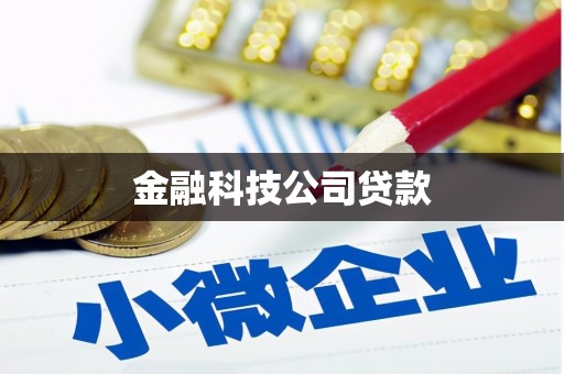 蔡甸金融科技公司贷款