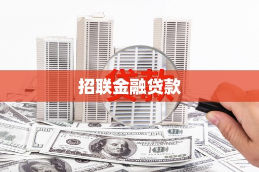 蔡甸招联金融贷款