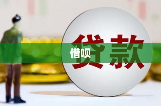 蔡甸借呗
