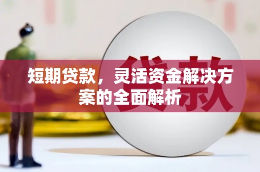 蔡甸短期贷款，灵活资金解决方案的全面解析