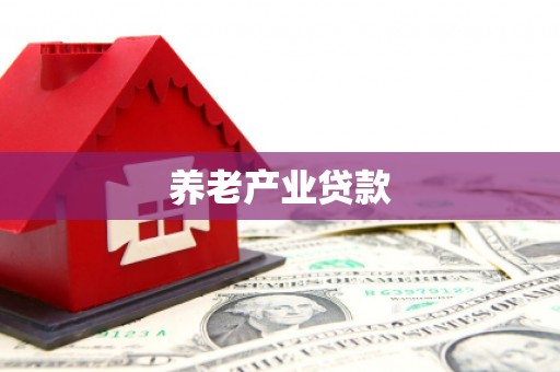 蔡甸养老产业贷款