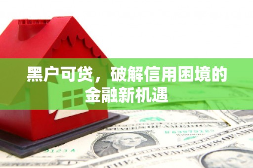 蔡甸黑户可贷，破解信用困境的金融新机遇