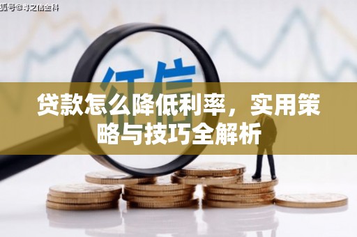蔡甸贷款怎么降低利率，实用策略与技巧全解析