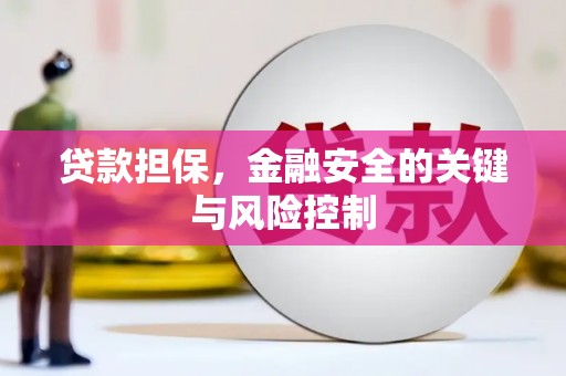 蔡甸贷款担保，金融安全的关键与风险控制